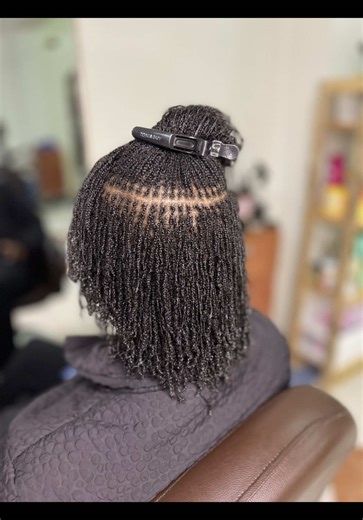 Starting Your Microlocs Journey with Microbraids