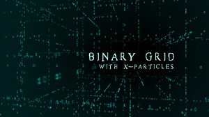 Binary Grid with X-Particles