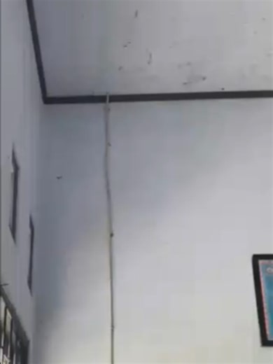 Lelaki Cadangan: TikTok Challenge di SMKN 1 Lambu