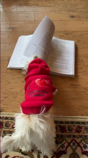 Easy Real Estate Practice Exam Resources