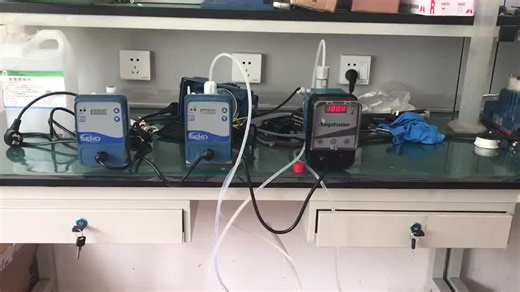 Micro DMS200 Mini Seko Chemical and Detergent Dosing Metering Pump