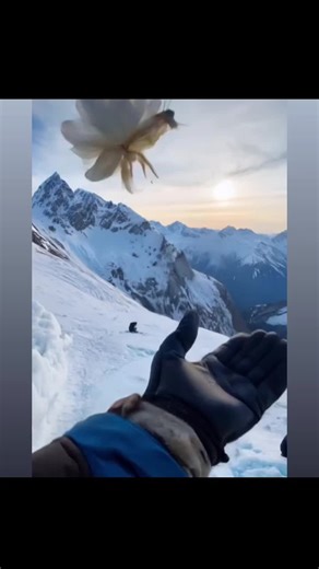 So beautiful but what is it? A lotus flower bug? Don’t know but it is beautiful. #whatisthis #lotus