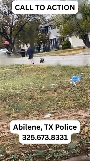 Man Drags & Beats Dog in Abilene HELP AGRO - Abilene's Gentle Rescuers Organization @allkindabilene ALL KIND Animal Initiative @argosdogrescue_org 🐾 Abilene, Texas 🚨 A passerby filmed a man dragging a dog down N 9th Street while beating him. 📹 The dog is seen on his back, terrified, as the man kicks and yells at him repeatedly. 💔 Animal advocates say this is the kind of abuse that rarely gets caught on camera but happens far too often. 👀 Hundreds of people online are demanding justice. 👮 A