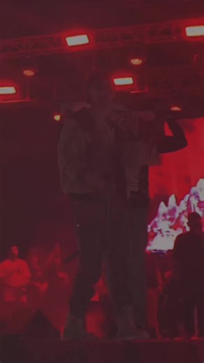 Una Flor de Cris: Letras y Significado