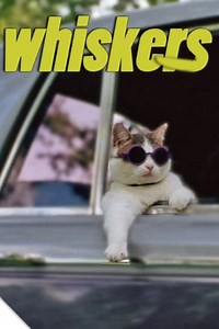 Stream Whiskers (1997): Find it on Netflix, Prime Video, Hulu & more