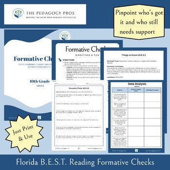 10.R.3.3 Formative Checks – Florida B.E.S.T. Reading