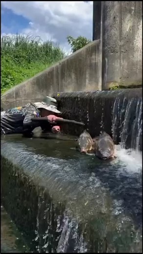 fishing world on Instagram: "Today’s big catch🐟"