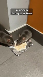 569K views · 758 reactions | Mit diesem einfachen Trick meiner Großmutter habe ich sie in nur einer Nacht losgeworden.  #fblifestyle | Schlaue Tricks | Facebook