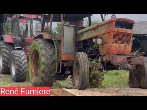 Epic Rescue of a Forgotten Someca 750 (Fiat750) | Pulled Out from the Woods by CASE IH International