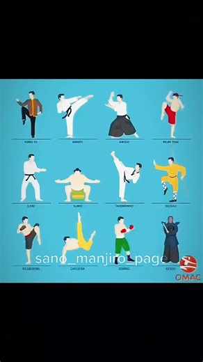 Fighting Styles of Tokyo Revengers Characters Explained