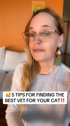 ‼️ 5 Tips For Finding The Best Vet For Your Cat! . . . #cat #cats #veterinarian #catvet #catsofinstagram | Wild At Heart - Cat Behavior Solutions