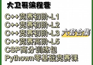 大卫哥编程营六大编程课完整版