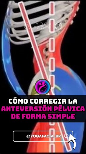 Muchas personas tienen anteversión pélvica sin saberlo. Esta desalineación puede influir en el abdomen, la zona lumbar y la postura. Con un gesto simple antes de dormir y unos minutos de descanso consciente, puedes ayudar a tu cuerpo a recuperar equilibrio y comodidad 🌿🧘‍♀️✨ #AnteversionPelvica #PosturaCorporal #AbdomenPlano #DolorLumbar #BienestarDiario #MovimientoConsciente #SaludPostural #fblifestyle | Yogafacialbr