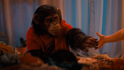 Primate - Film Review - Impulse Gamer