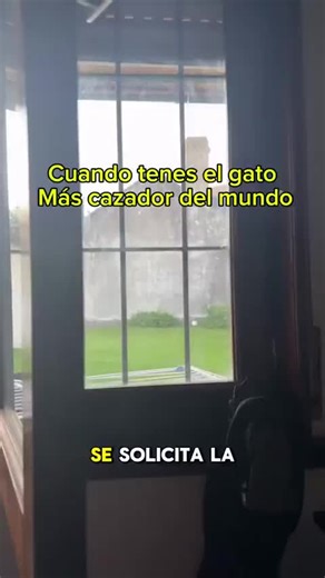 Videos de Anna Santiago (@anna.santiago576) con “sonido original - Anna Santiago”