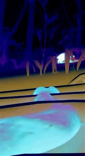 The Hidden Vision of Animals: Snake’s Heat Vision