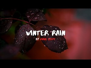 Winter Rain Cinematic Stock Footage & No Copyright Music