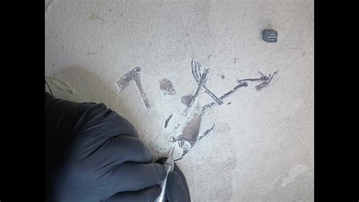 🦴✨ Happy #FossilFriday! When you see fossils on display in a museum, it’s easy to forget the hours of work it takes to uncover them. Skilled preparators use tools like pin vises, air scribes, and microblasters to carefully remove layers of rock while stabilizing fragile bones with special glues and adhesives. In this timelapse, expert preparator Mike Eklund works on a bird fossil (Passeriformes?) collected from a Wyoming quarry in summer 2024. As he chips away the platy micritic matrix, delicat
