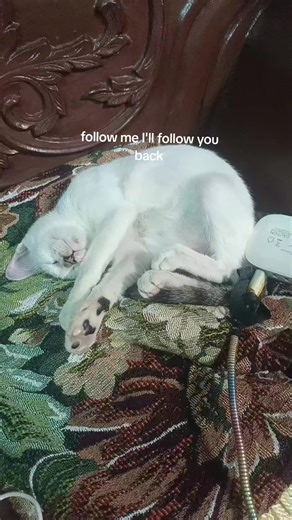 chicken_money🇵🇭🇵🇭 (@chicken_money30)’s videos with original sound -