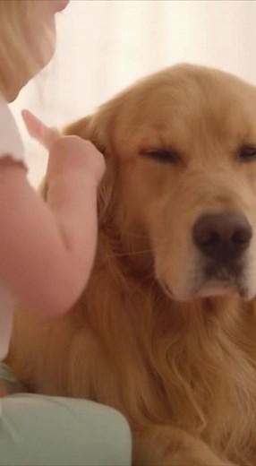 Girl and Dog's Adorable Bond See the sweet bond between a girl and her dog. Generated using Kling AI . . . (For entertainment purposes only. Consult professionals if guidance on activities is presented. No brand affiliation is implied if any are shown. If inspired by true events, creative adaptations may be included. Content may include public footage.) | Fabiosa Better World