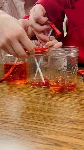 Heart models! This is always a fun lab…the students create a model heart that shows how blood pumps throughout the heart and its valves. 🫀 | Veterinary Science NCCC