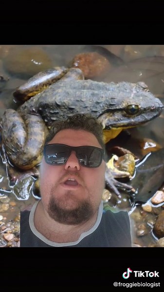 Goliath Frog: Conservation Efforts and Unique Traits