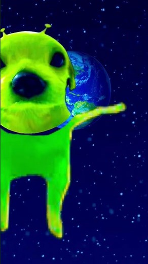 What is bro alien dog thinking