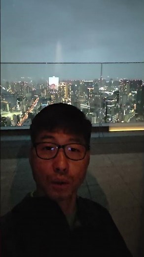View from the 47th floor of the Fairmont Tokyo Hotel