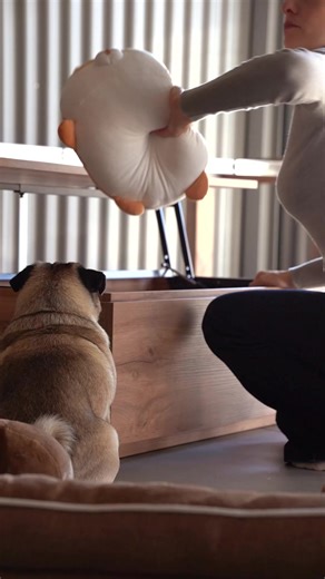 Votre table basse peut faire plus que simplement être belle. La table basse avec rangement X peut être relevée – parfaite pour travailler, grignoter ou se détendre – et dissimule tout lorsque vous avez terminé. Style, fonctionnalité et espace de rangement réunis dans un design intelligent. | Mobili Fiver