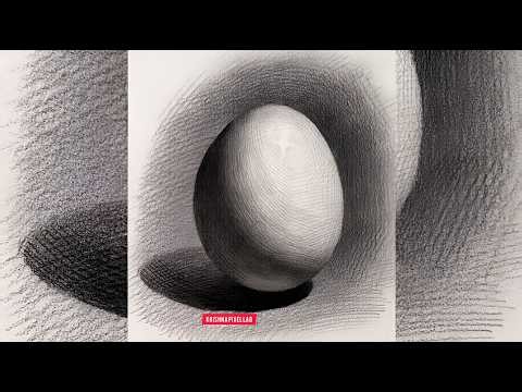 How to Draw a Realistic Egg | Easy Pencil Drawing for Beginners | Step-by-Step Sketch