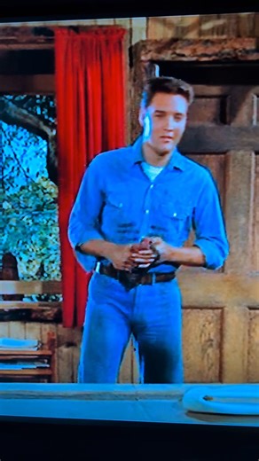 Kid Galahad Part 2! Both of them have such beautiful blue eyes! 💙💙 He's just so adorable the way he backs up and doesn't take his eyes off her. 😍🥰 | Canadian Loves Elvis