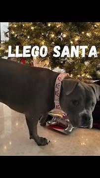 Llego Santa Claus a mi casa!