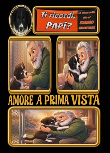 Ti ricordi, Papi? Al canile pensai: “Orso buono con barba! Ha fame? Mi mangia?” Tre mesi, spaventata. Tu: supereroe! Mi salvi, io salvo te. Amore eterno! #cucciola #cane #cani #dog #puppy