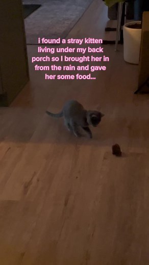 I thought she was gonna blast all over the house tbh