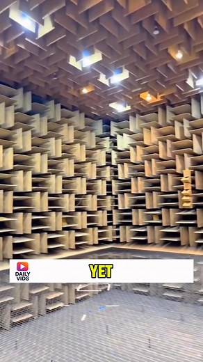 Survive 1 Hour in This Room, Win $5 Million #challenge #quietestroom #anechoicchamber #rewards #fyp #foryou #room #difficult #quite | Daily Vids