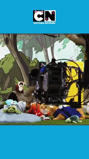 Take a look at the behind the scenes set up of Cats of the Creek! #cats #aprilfools #fyp #cartoonnetwork