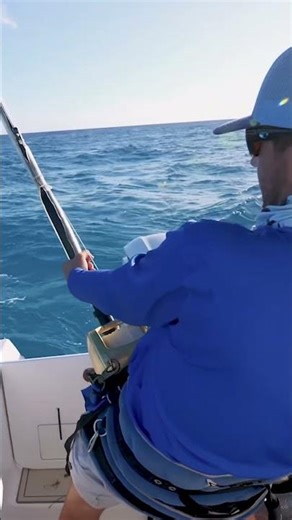 The enormous shark that attacked a fisherman's catch #fishing #fishboat #fish #fun