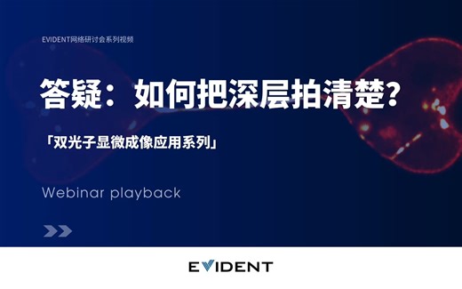 双光子显微成像答疑——如何把深层拍清楚？
