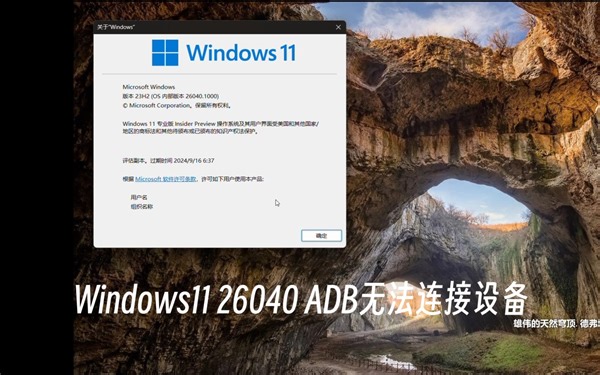 Windows11更新到26040后adb无法识别设备