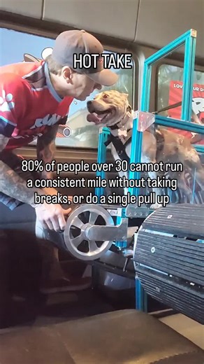 Why Your Dog Needs More Exercise Than You