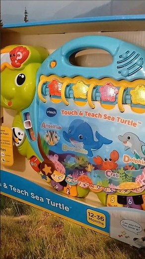 Touch and teach sea turtle #vtech #satisfying #educational #youtube