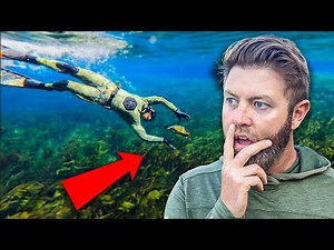 Catching Turtles In CRYSTAL CLEAR Water