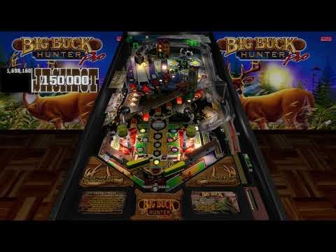 Big Buck Hunter Pro (Stern 2010) VPX (DT)