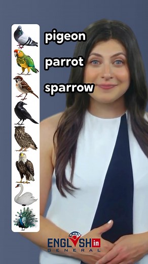 Learn English Bird Names: Vocabulary for Bird Lovers