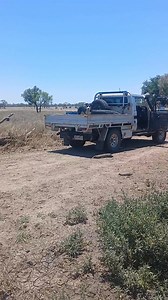 Wild dog control | Corey Back