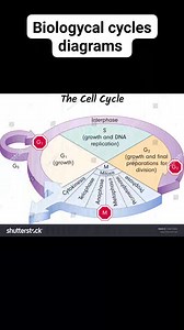 biologycal cycles diagrams #reels #fbviral #trendingreel | Biology Ocean
