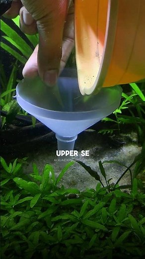 ❌ STOP Doing This || In Your 🐟 Planted Aquarium ✅ How to Maintain It Properly ||#tank #aquarium