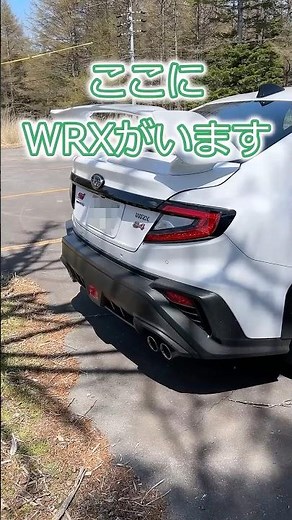 Subaru Active Volcano #cars #subaru #wrx #s4