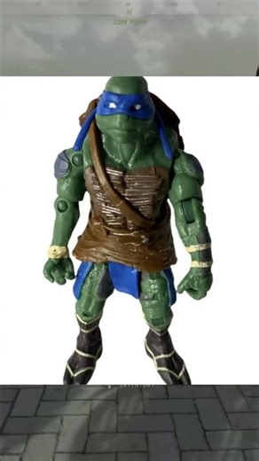 Turtle mix-up in Call of Duty