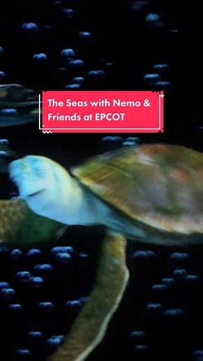 Visit Orlando on TikTok